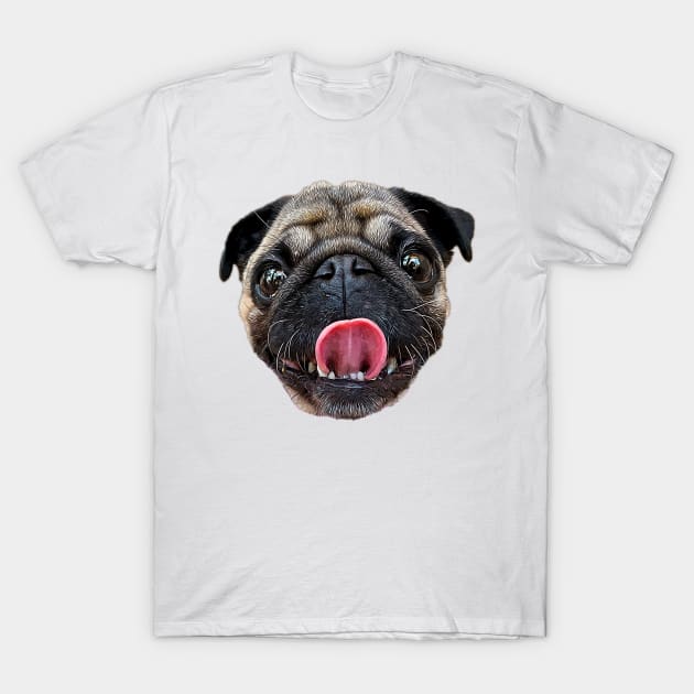 Pug - Cute Pug dog head! T-Shirt by Elarex